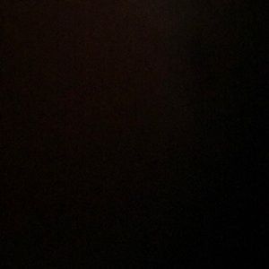 Meet your Posher, Bianca